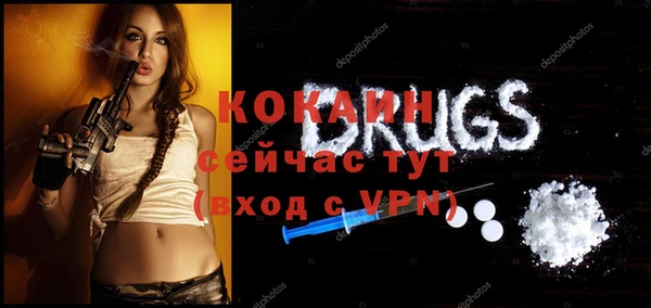 индика Аркадак