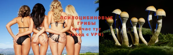 стаф Армянск