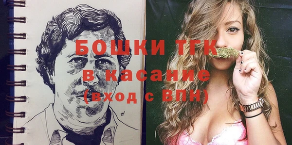 индика Аркадак
