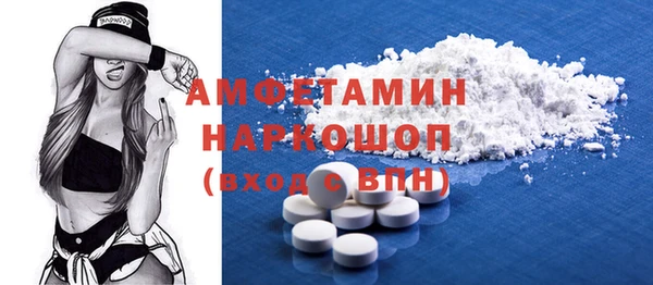 индика Аркадак