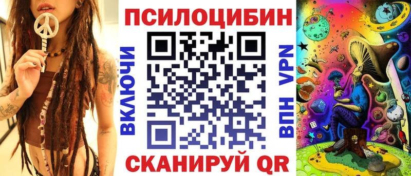 сколько стоит  Валдай  Псилоцибиновые грибы Cubensis 
